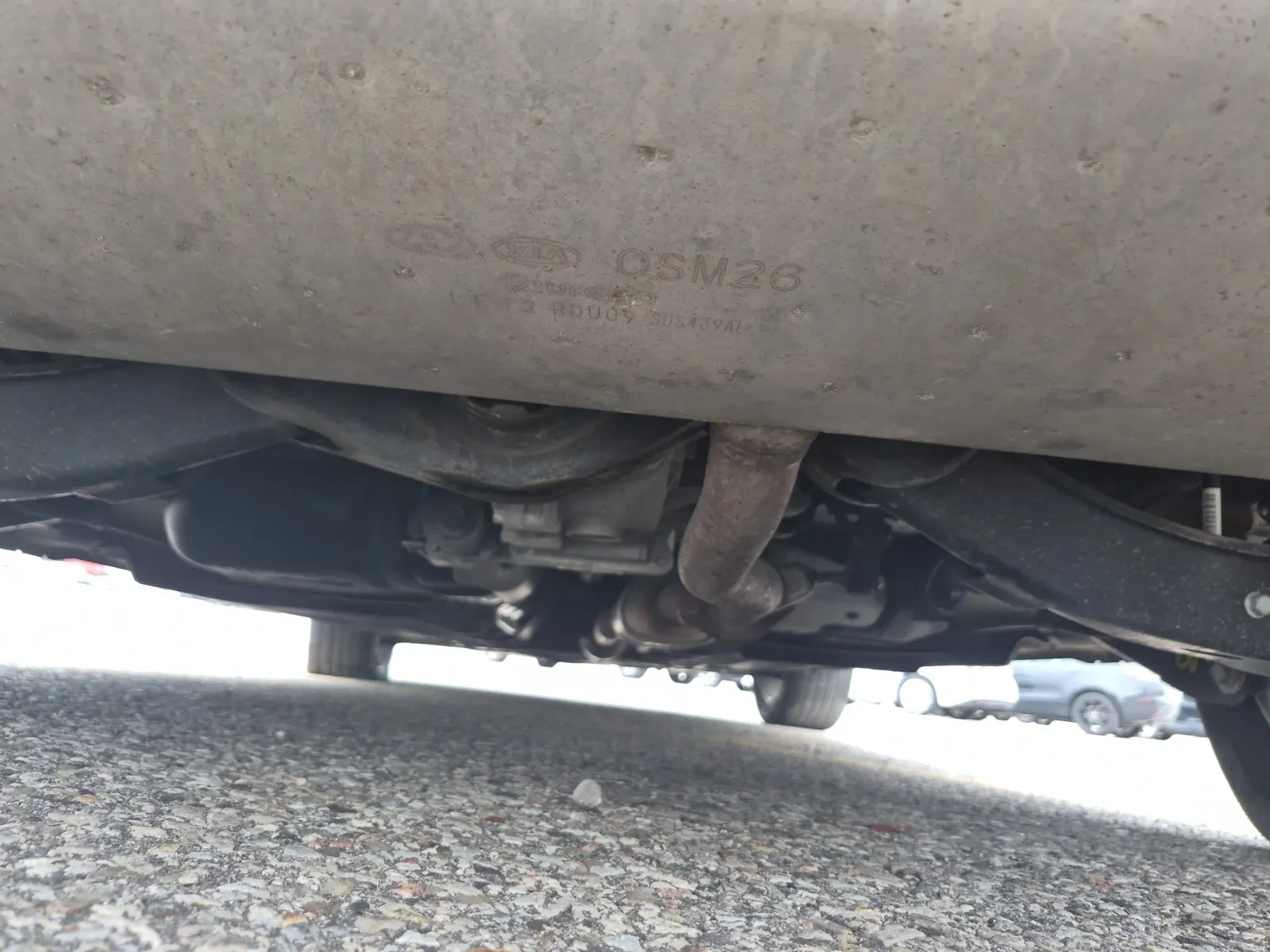Undercarriage - Rear Photo