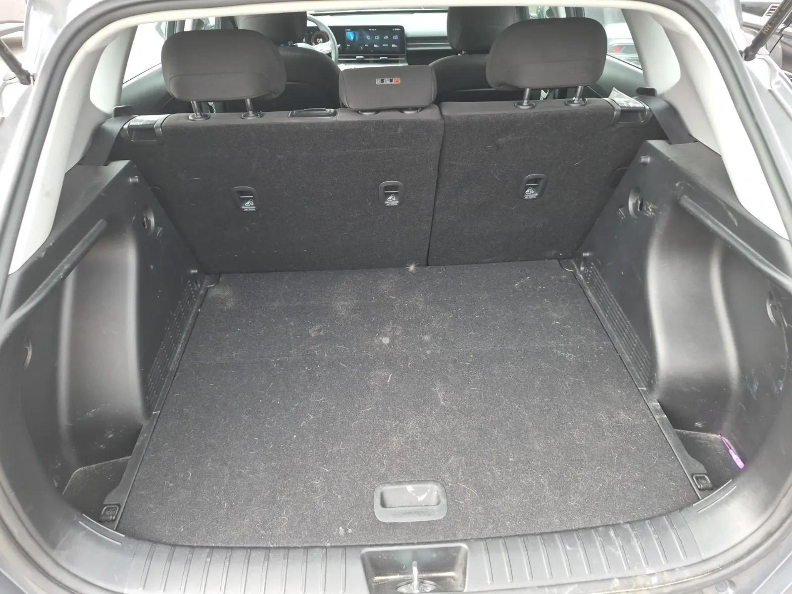 Cargo Area Photo
