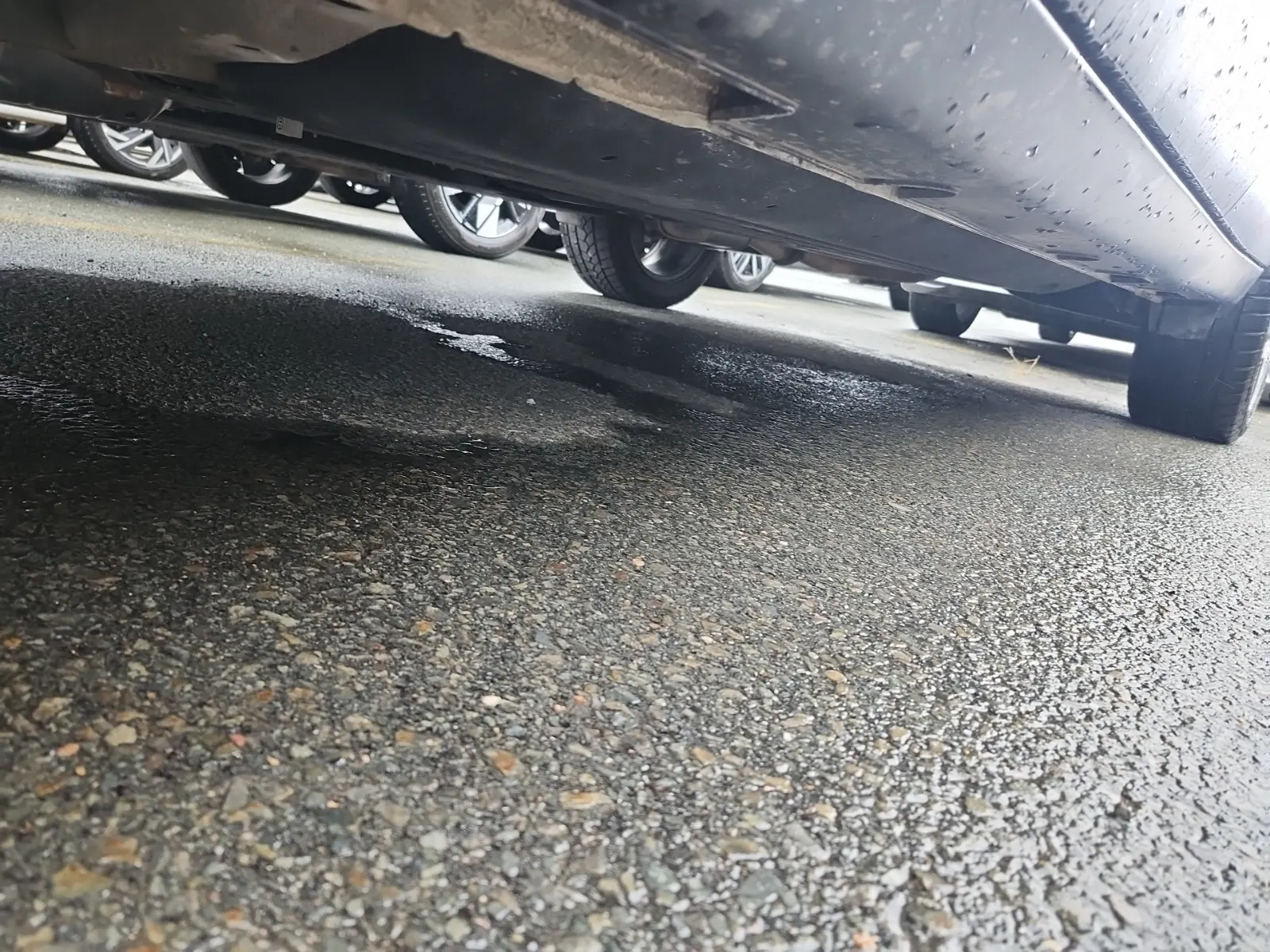 Undercarriage - Driver Photo