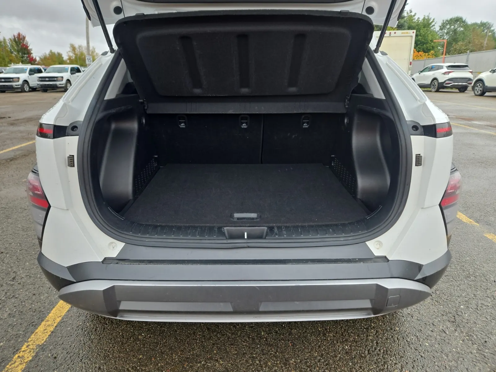 Cargo Area Photo