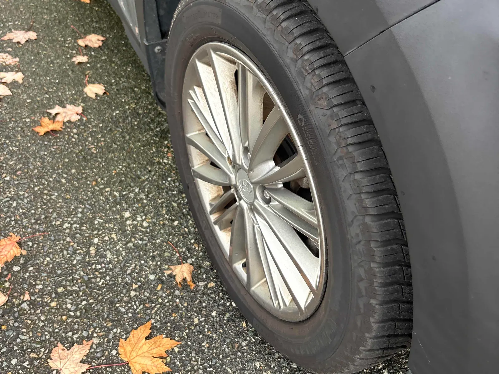 Tire