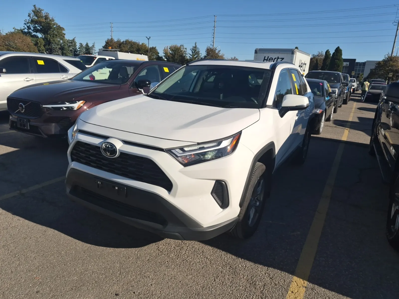 2025 Toyota Rav4