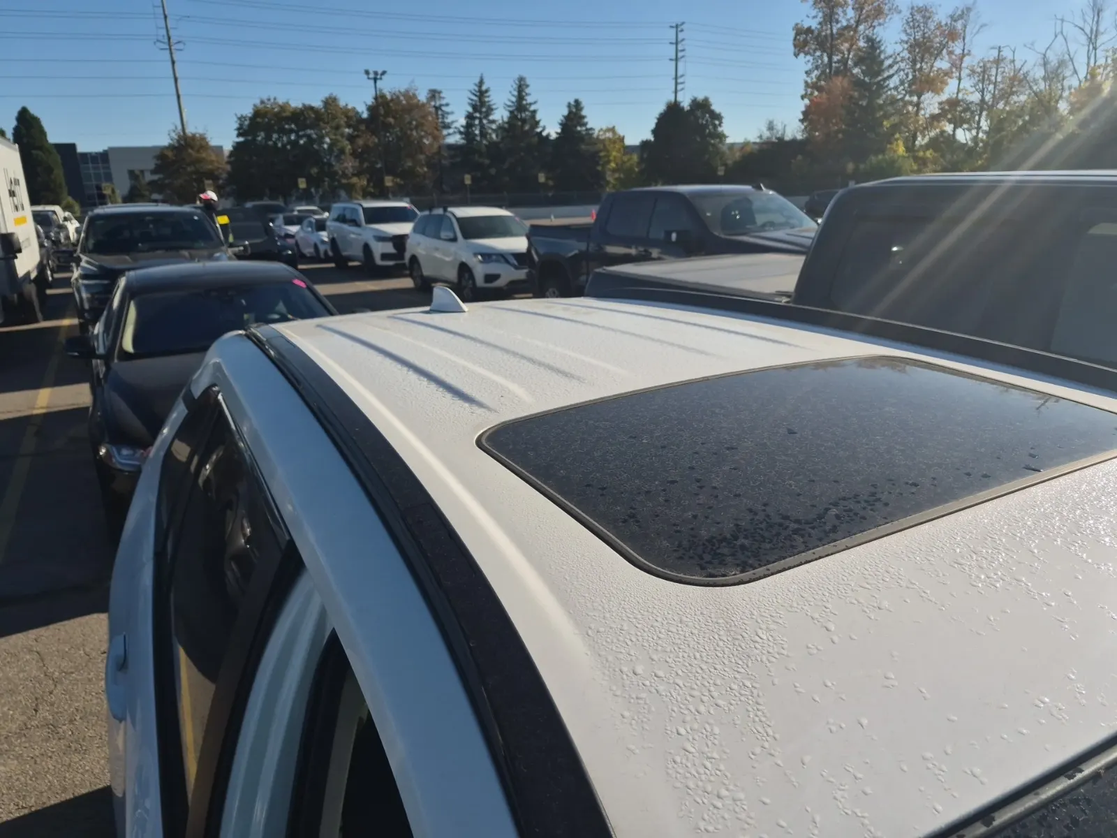 Exterior Roof Photo