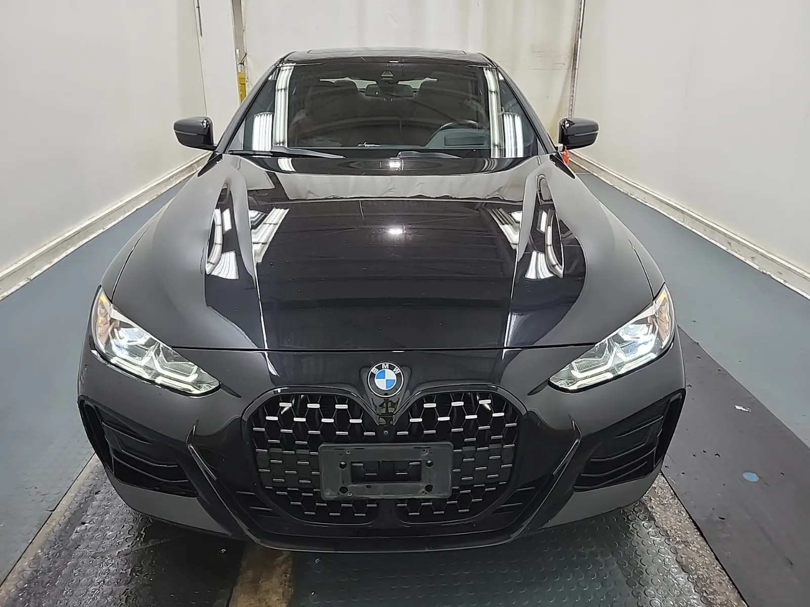 Full Front Photo