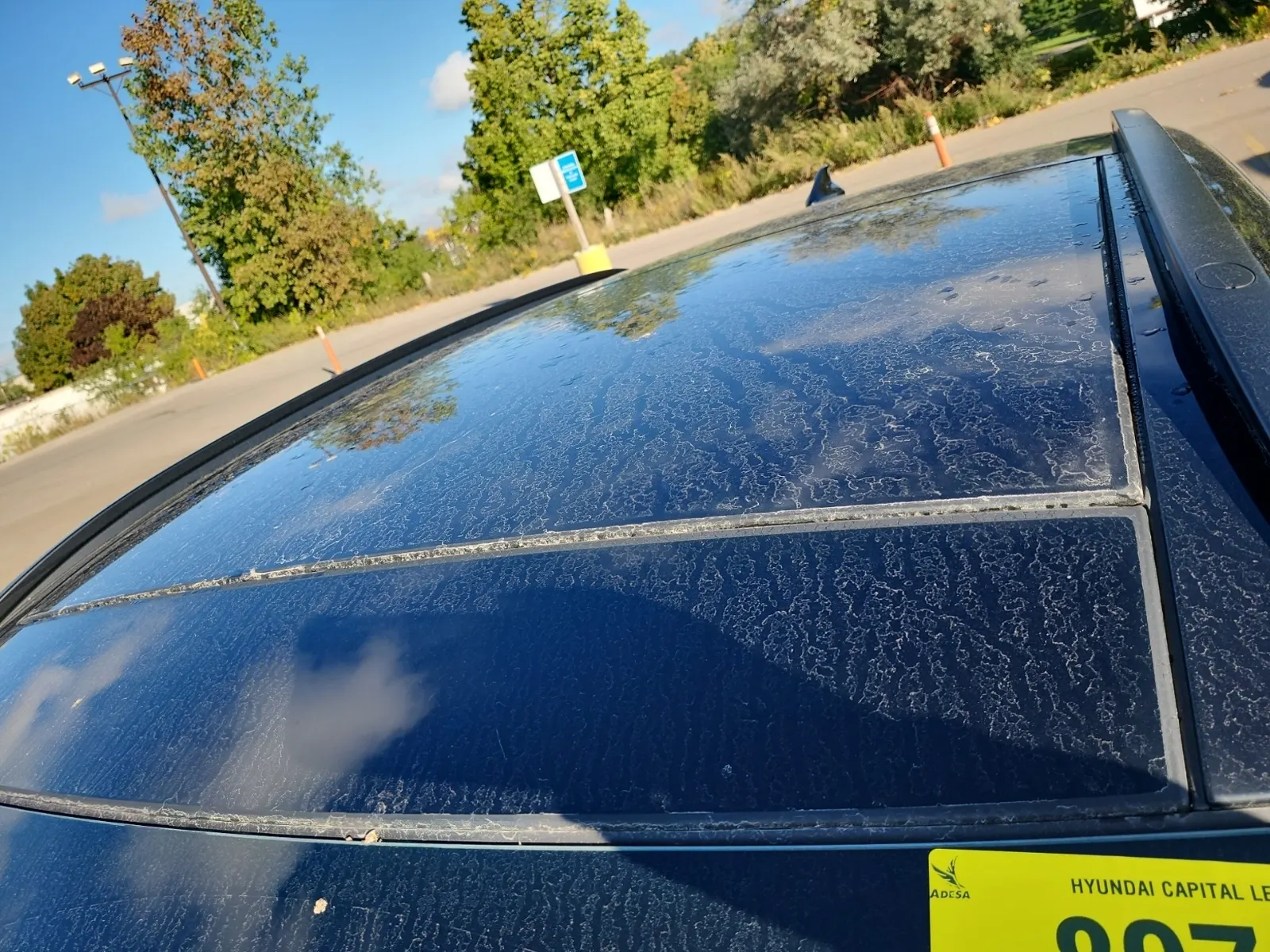 Exterior Roof Photo