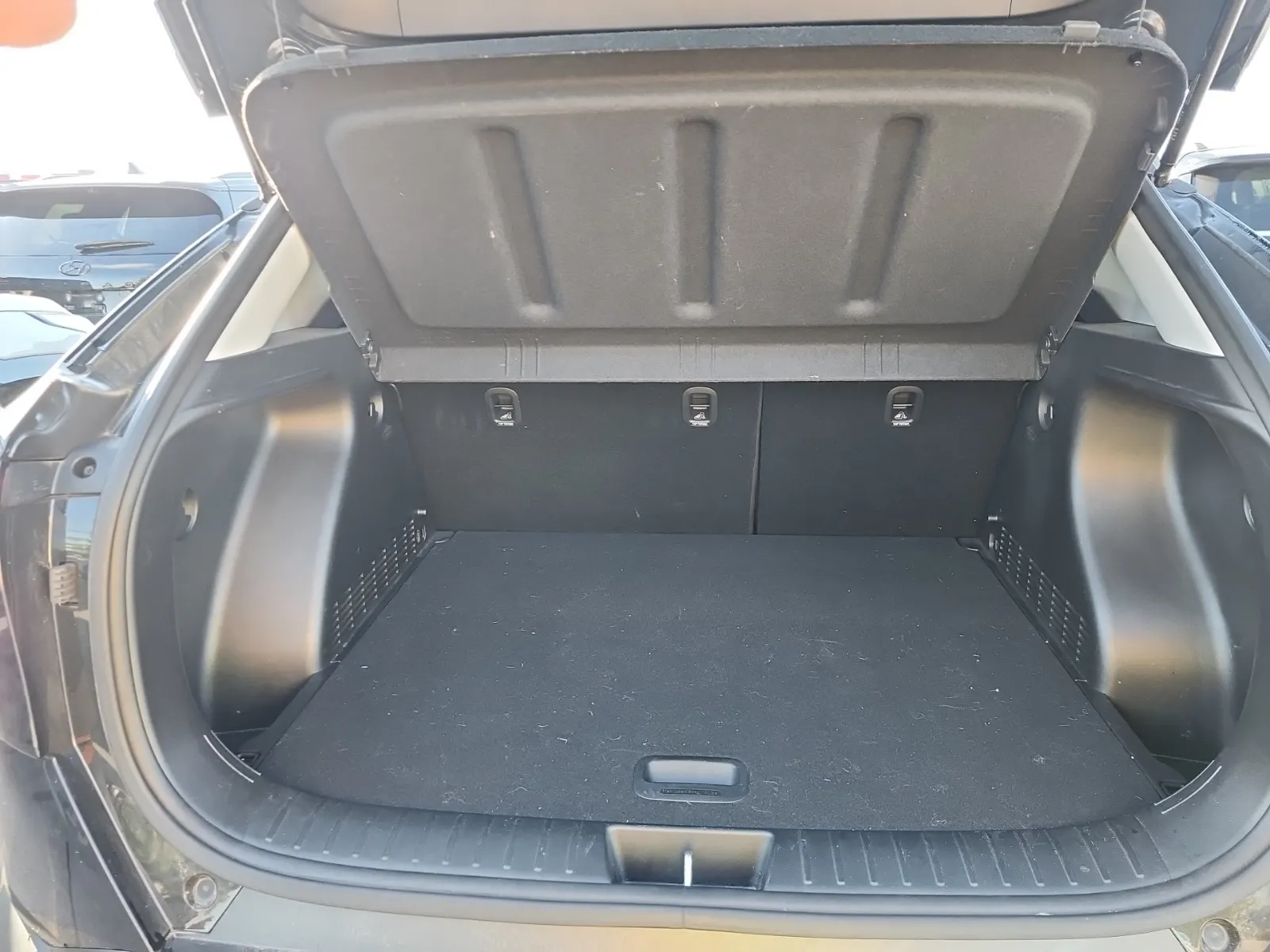Cargo Area Photo