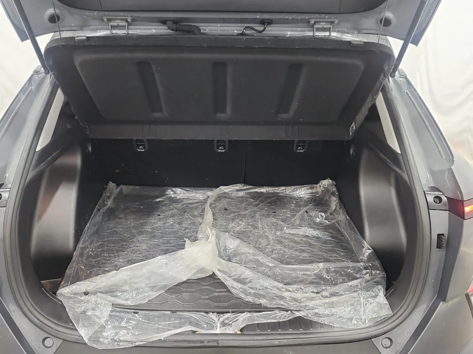 Cargo Area Photo