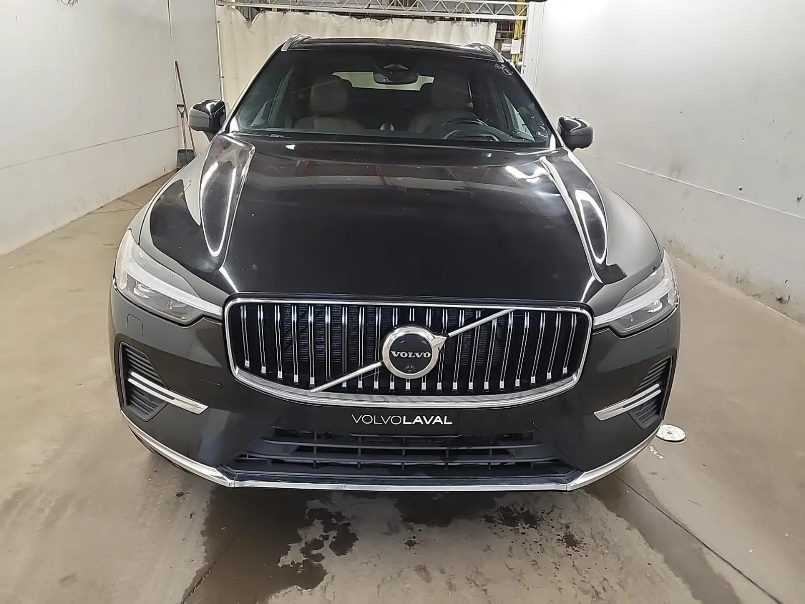 Full Front Photo