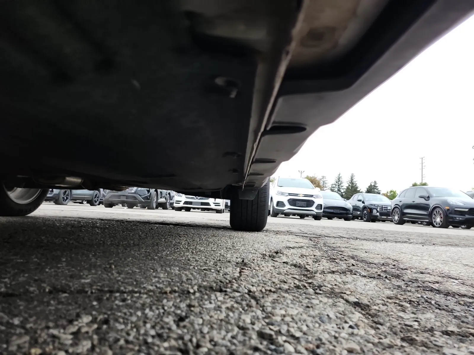 Undercarriage - Driver Photo