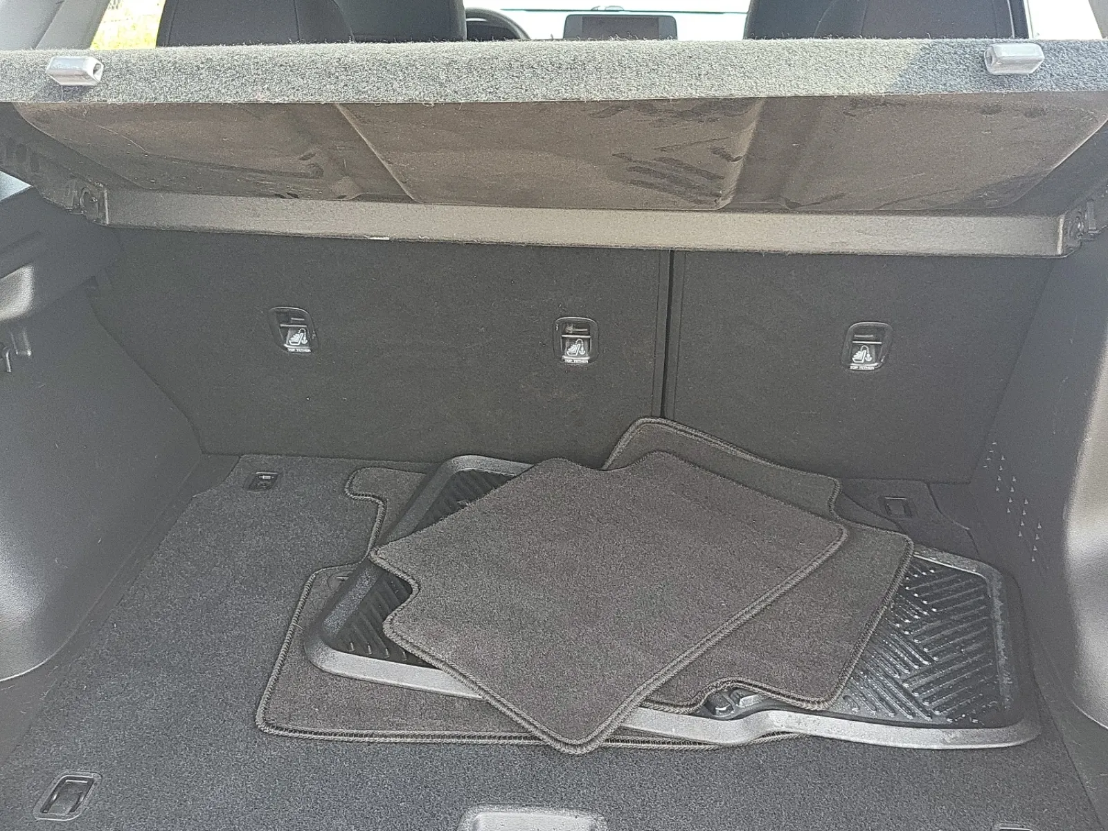 Cargo Area Photo