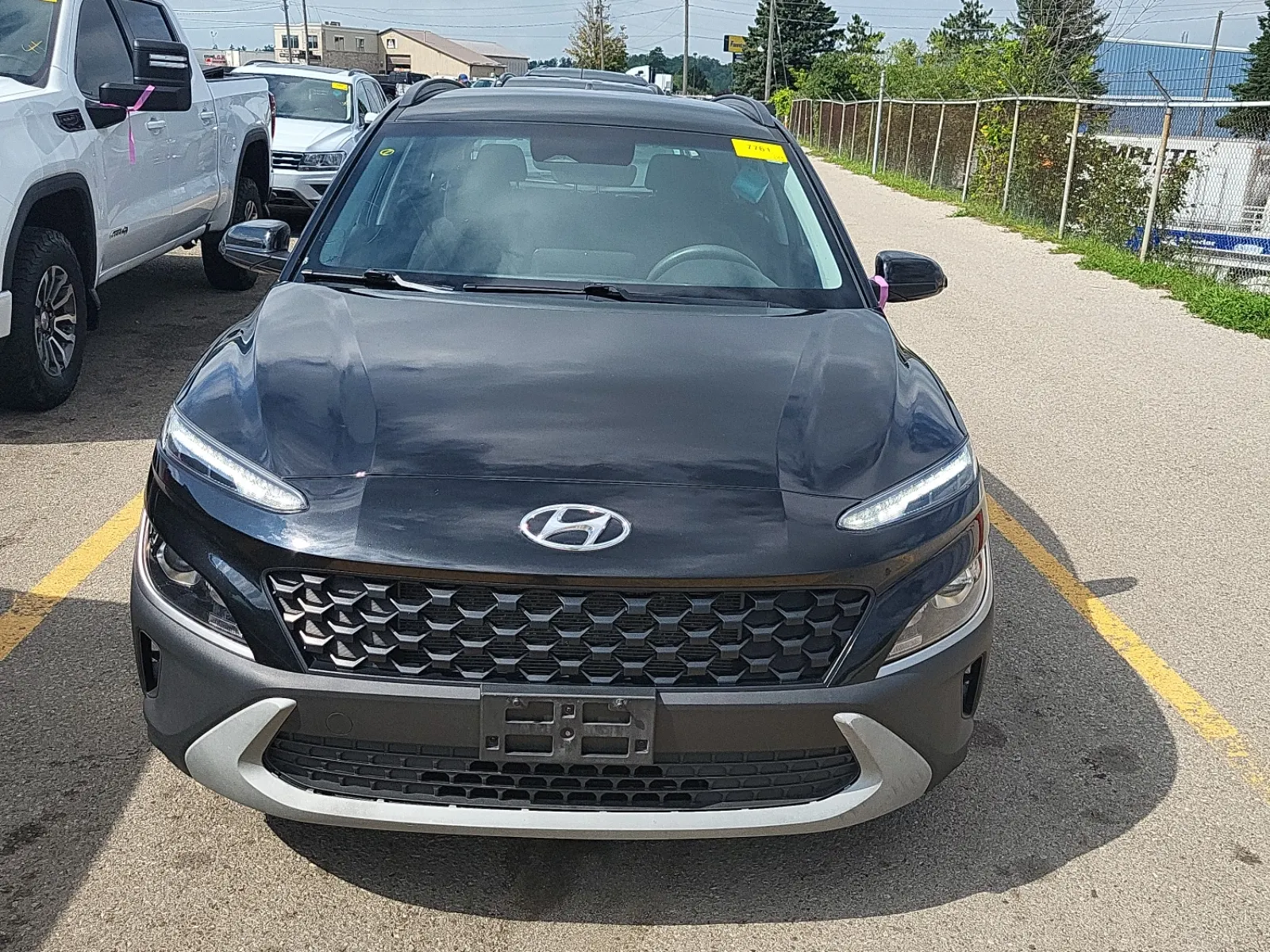 Full Front Photo