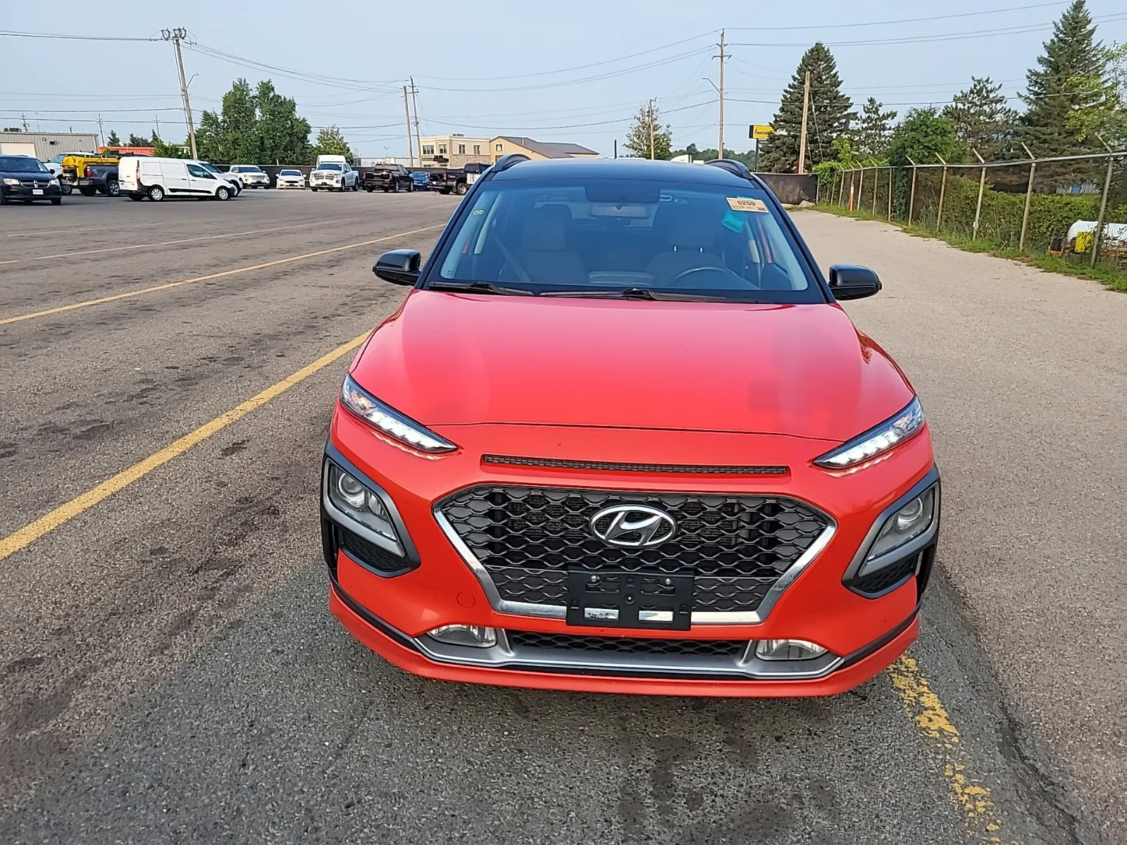 Full Front Photo