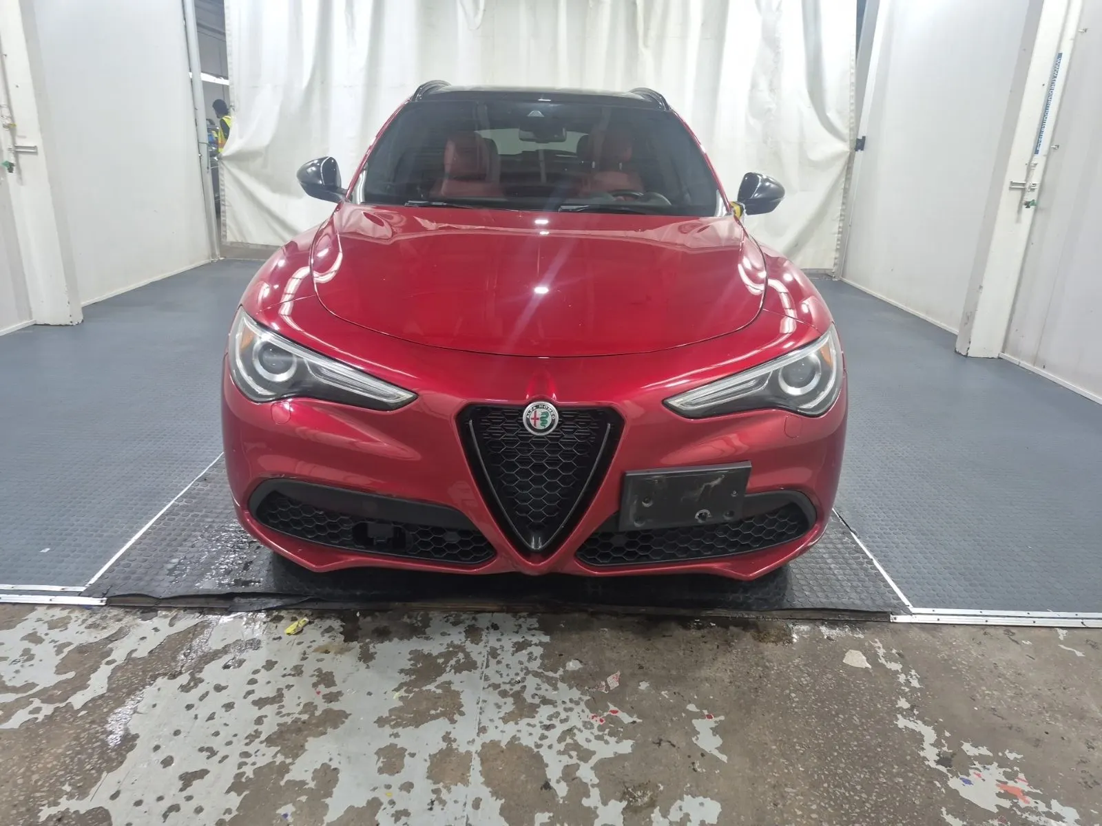 Full Front Photo