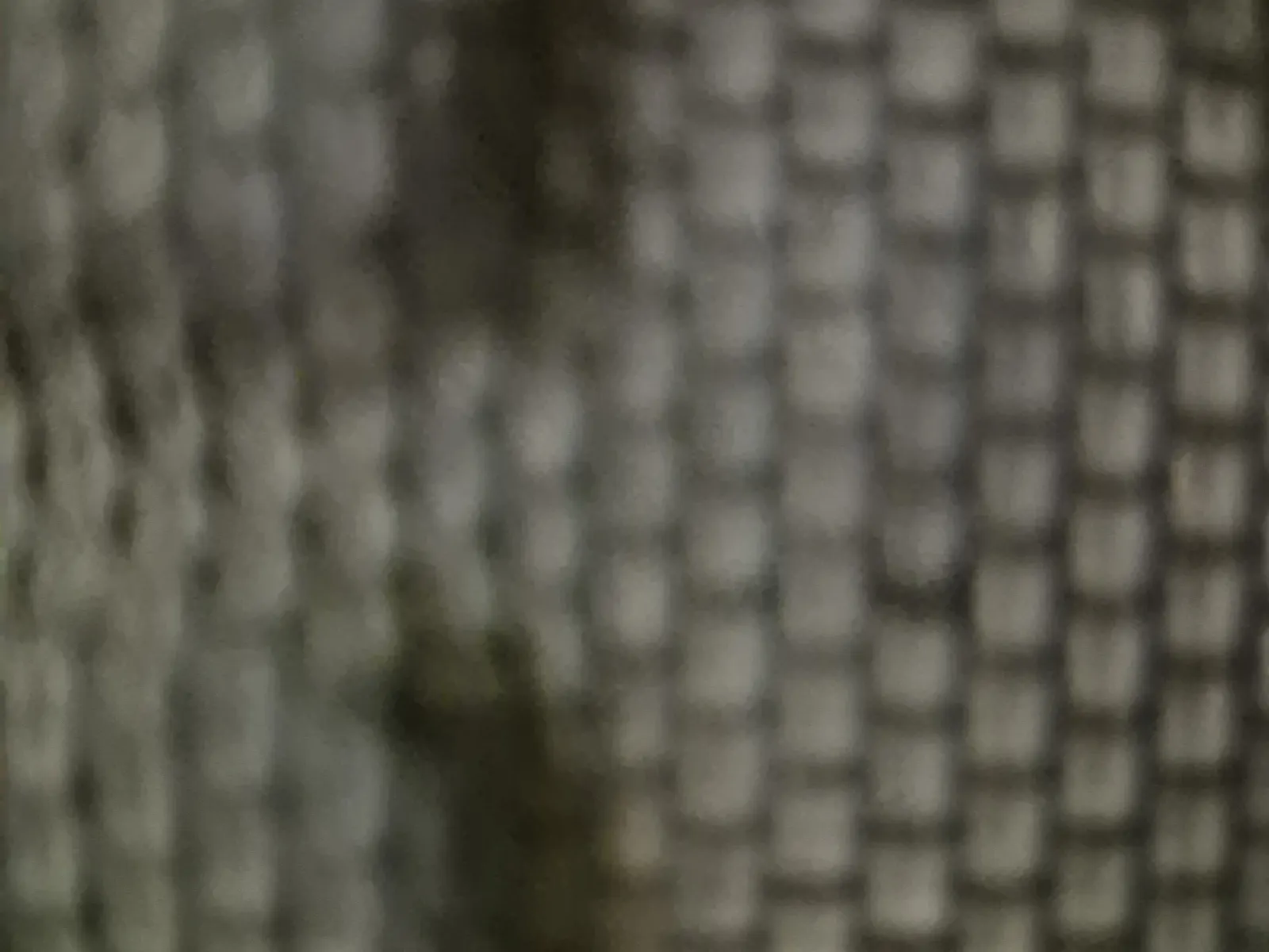 Charging Cable Photo