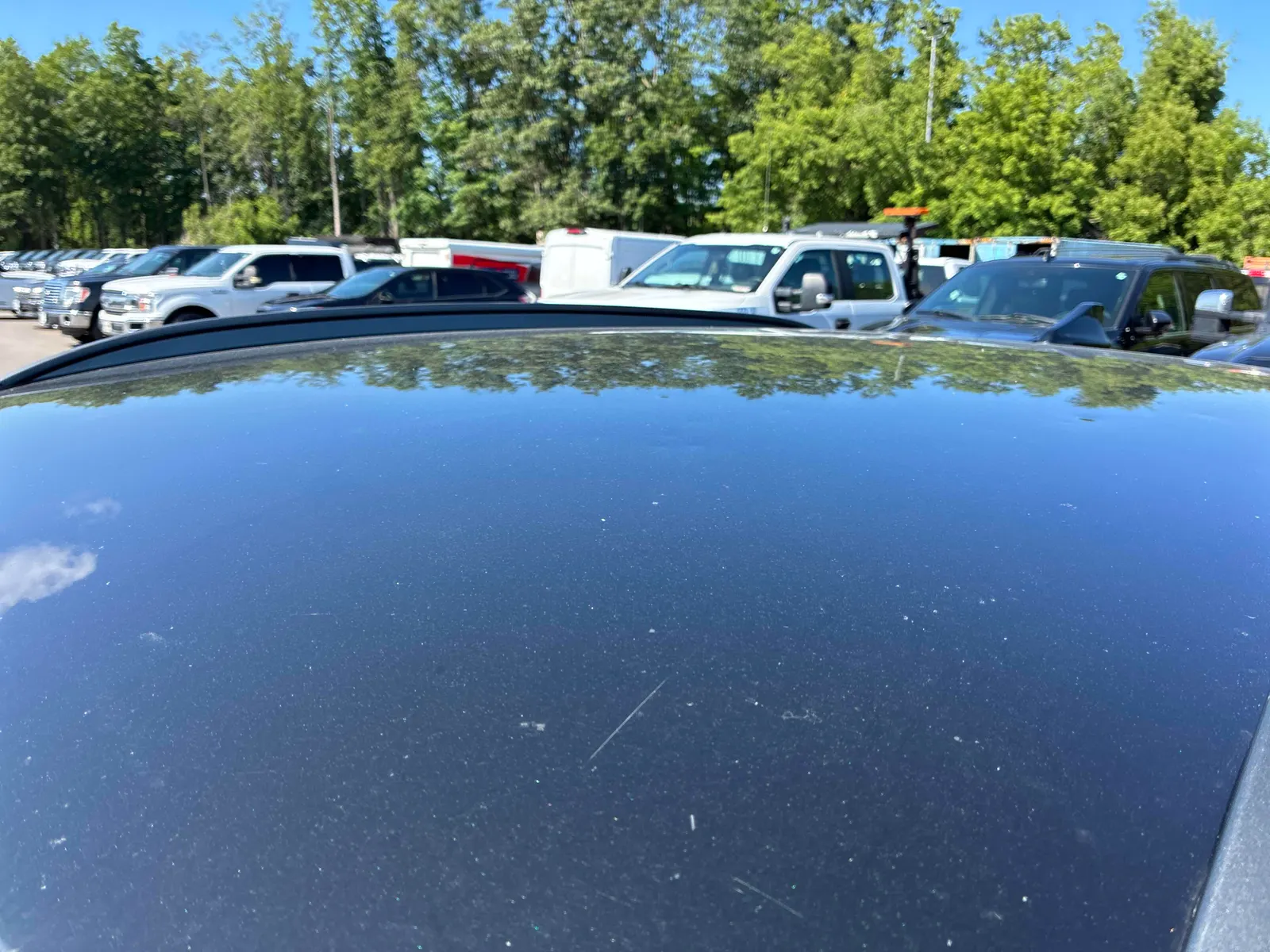 Additional Photo