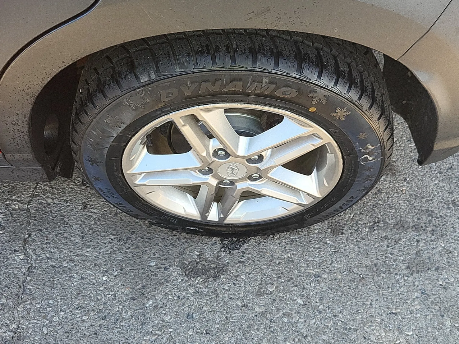 Left Rear Wheel/Tire Photo