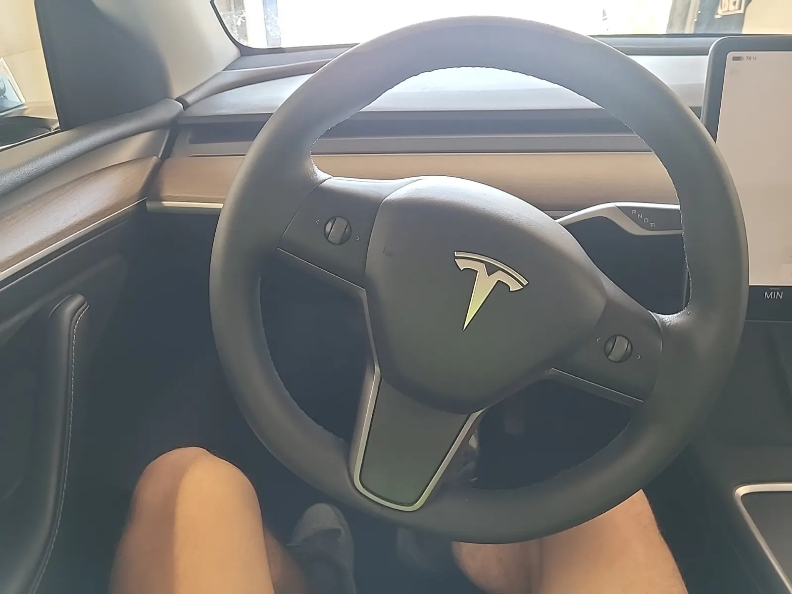 Steering Wheel