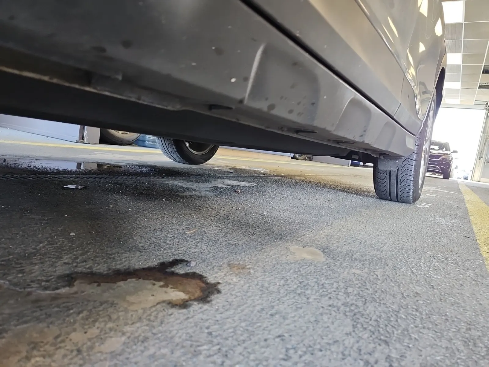 Undercarriage - Driver Photo