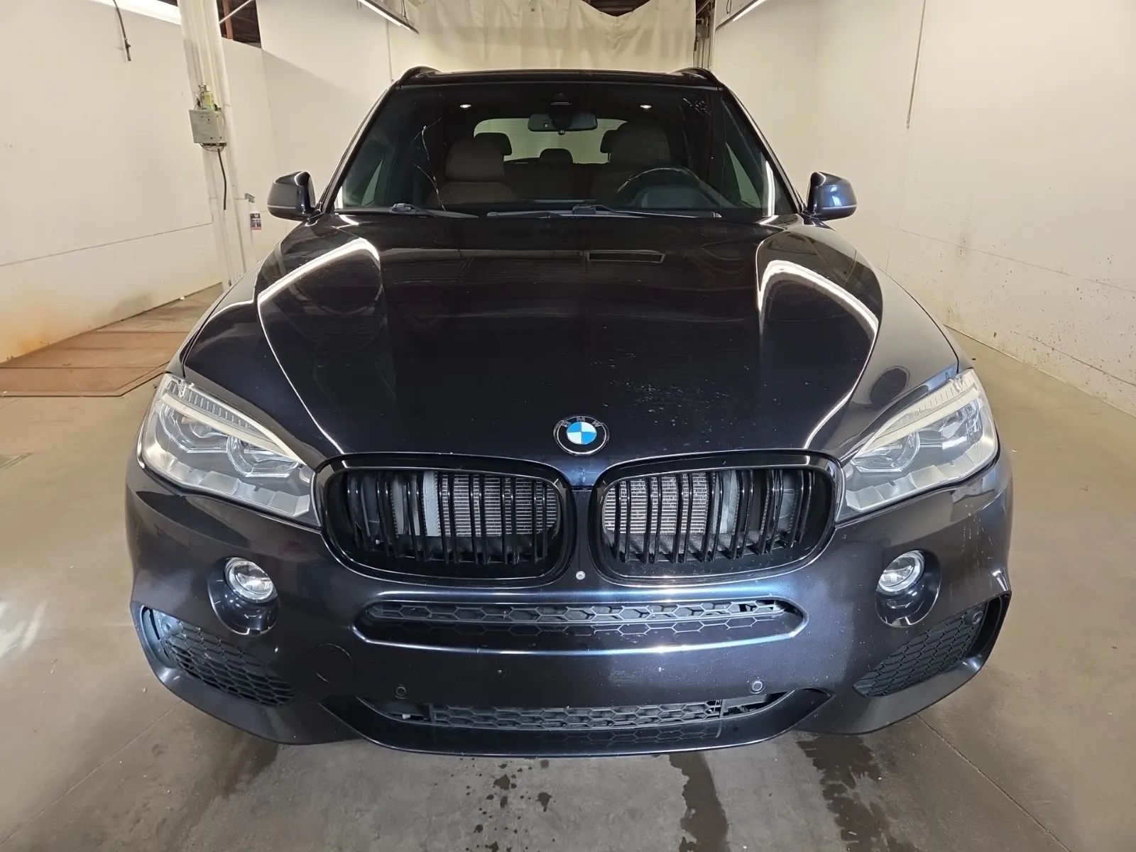 Full Front Photo