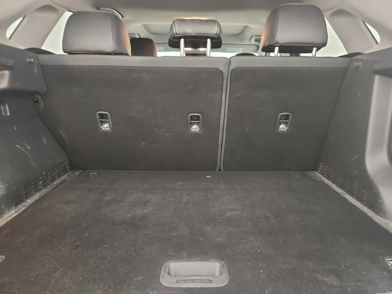 Cargo Area Photo