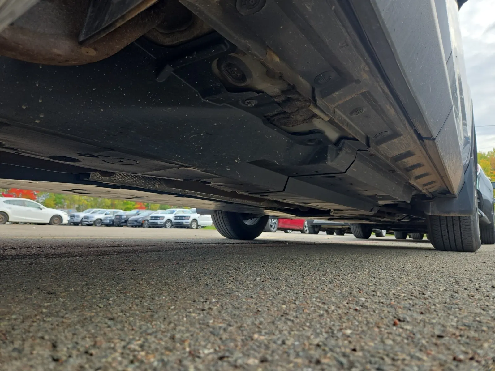 Undercarriage - Passenger Photo