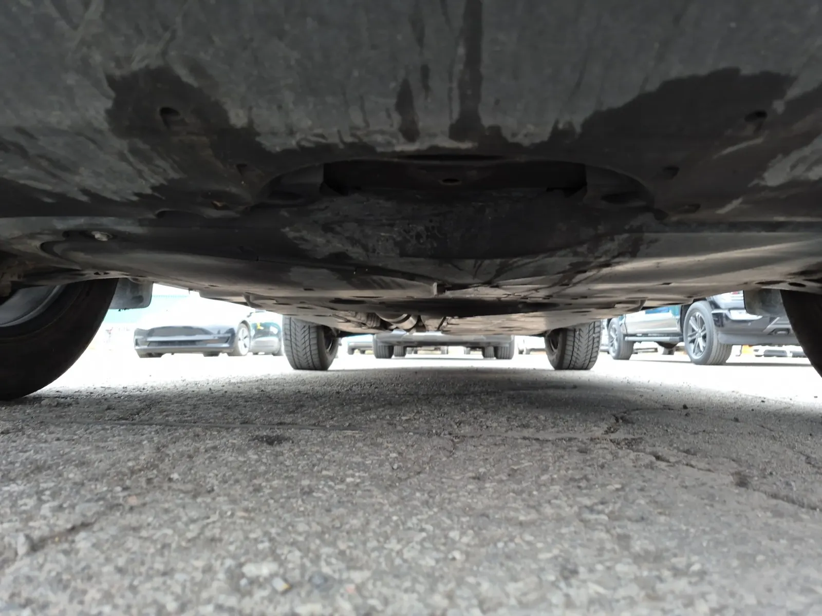 Undercarriage - Front Photo