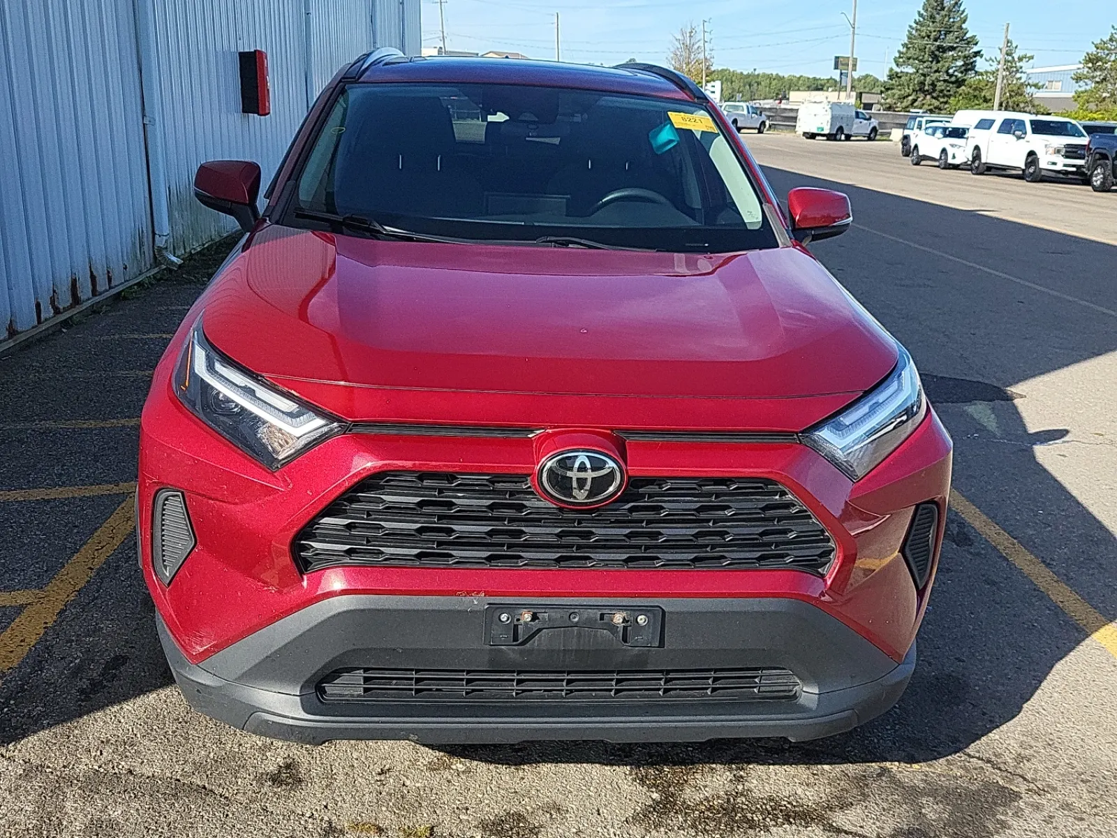 Full Front Photo