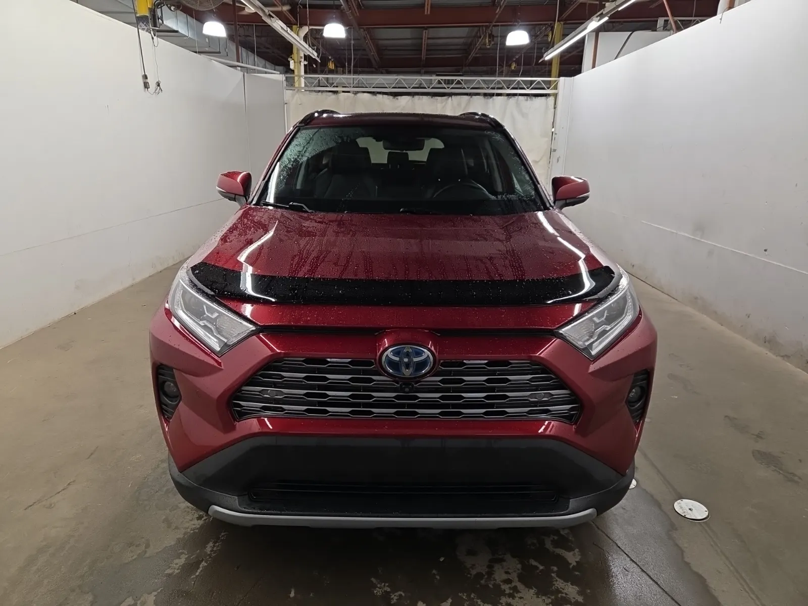 Full Front Photo