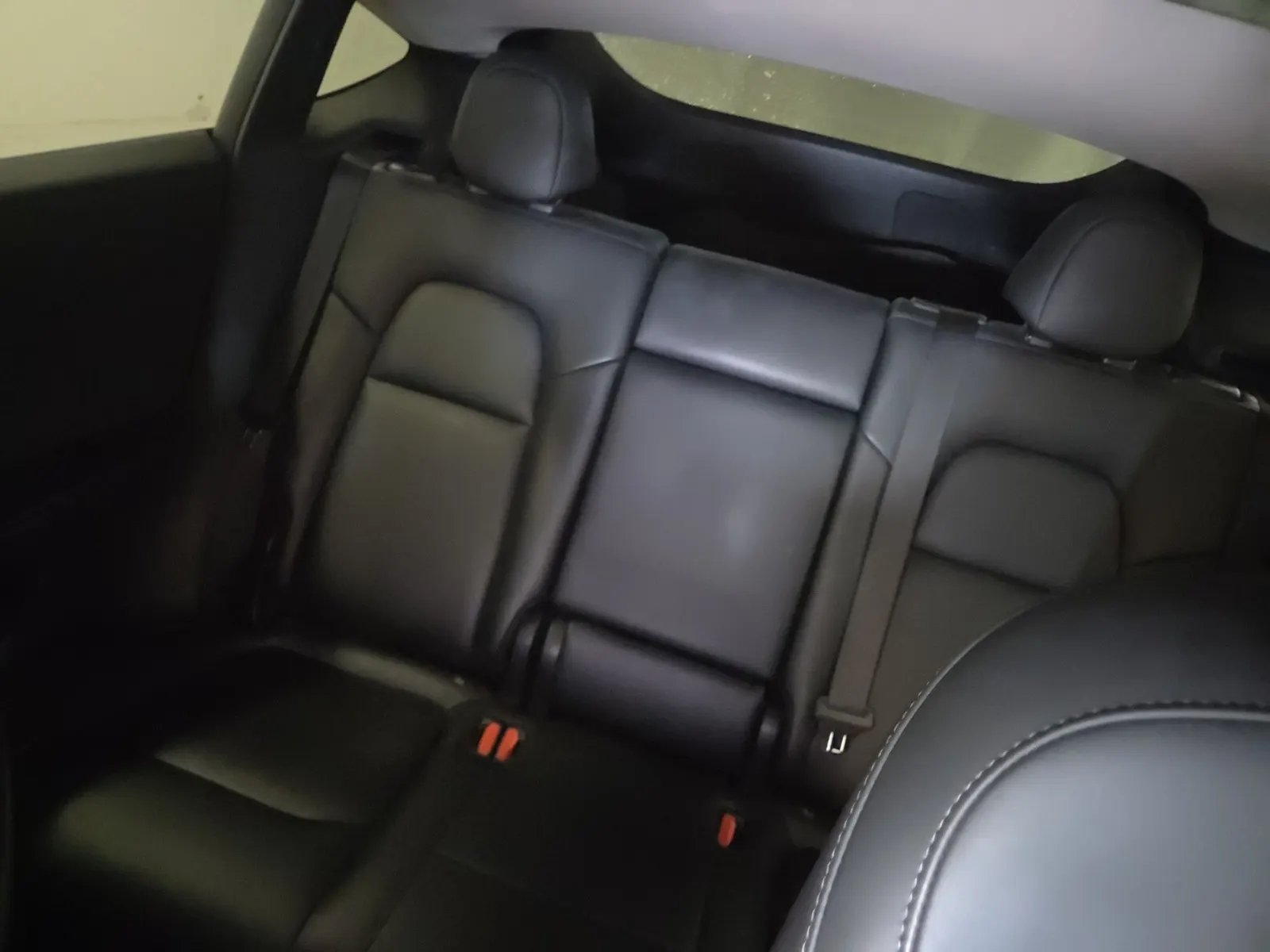Rear Interior Photo