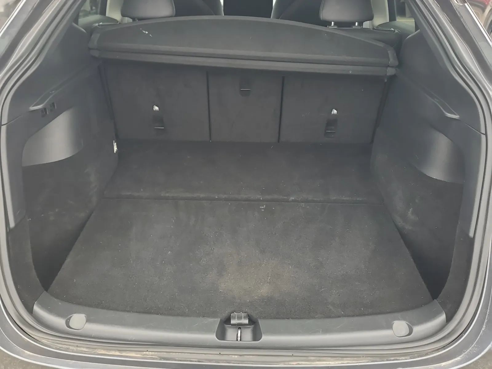 Cargo Area Photo
