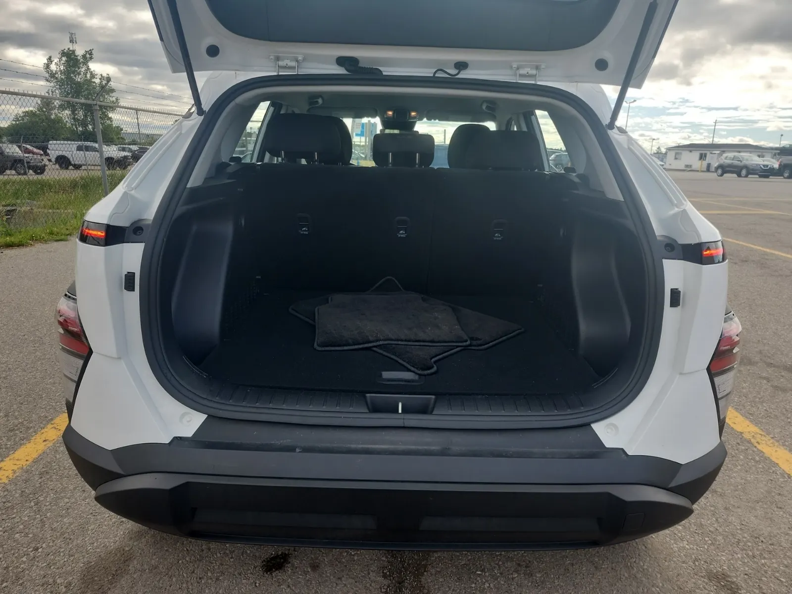 Cargo Area Photo