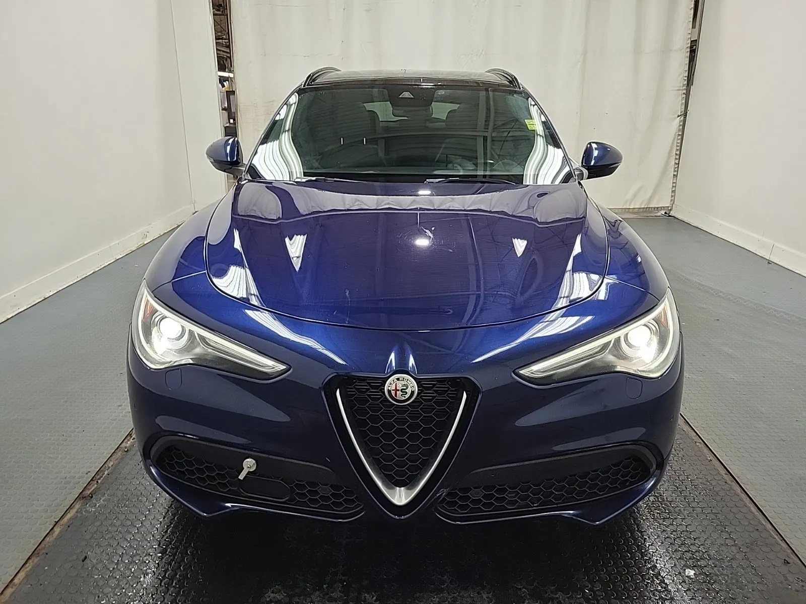 Full Front Photo
