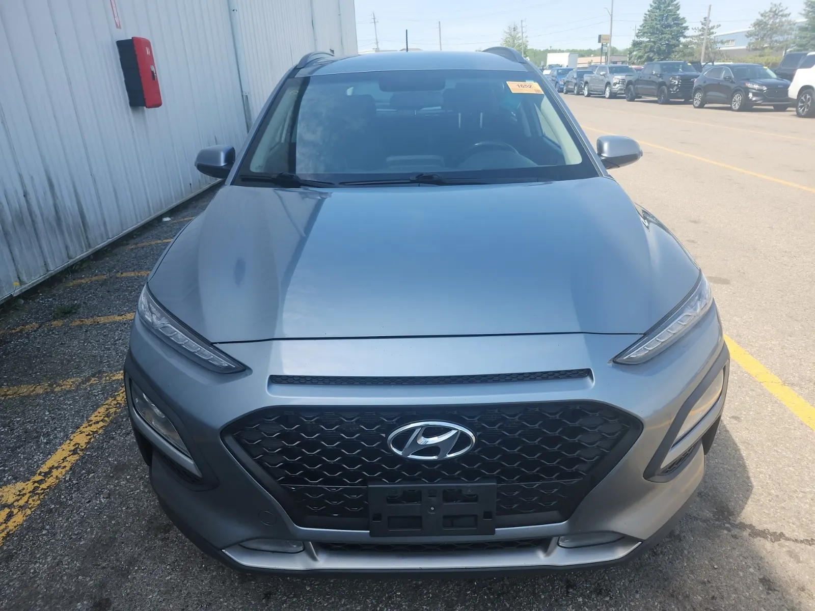 Full Front Photo