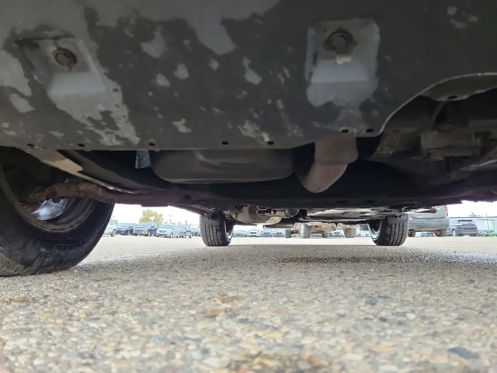 Undercarriage - Front Photo