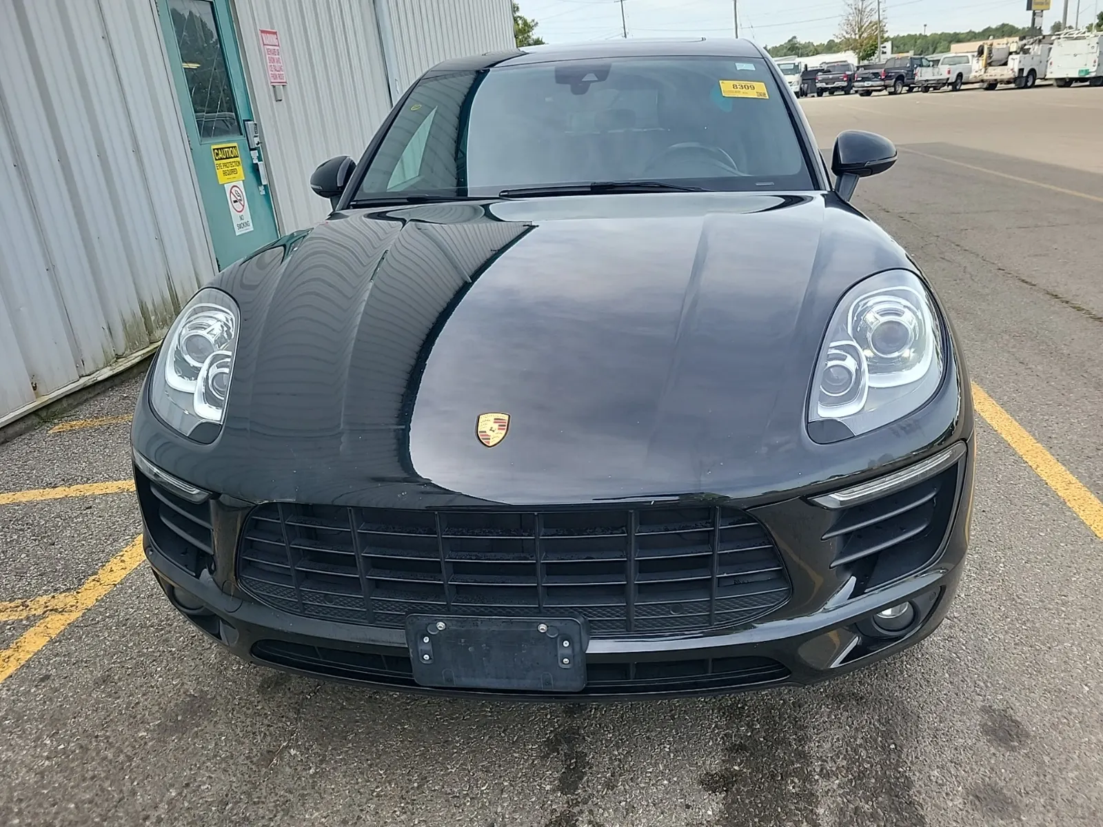 Full Front Photo