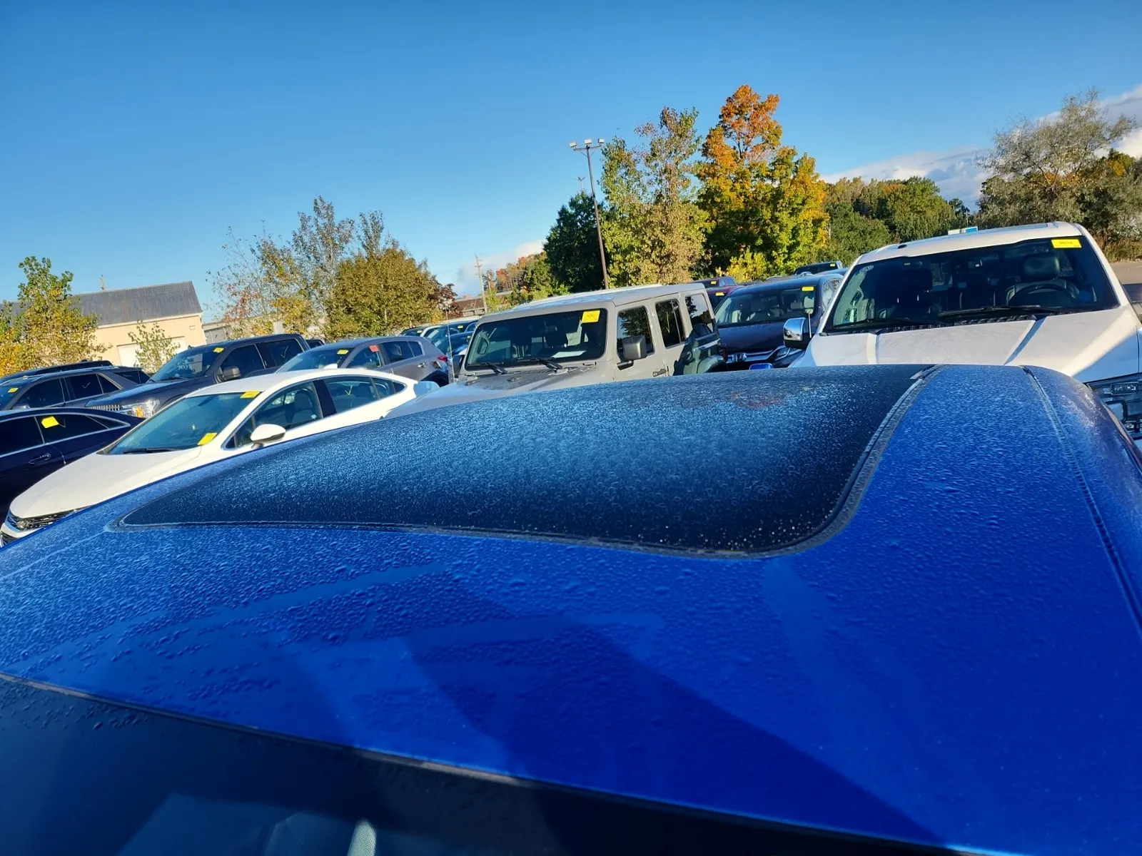 Exterior Roof Photo