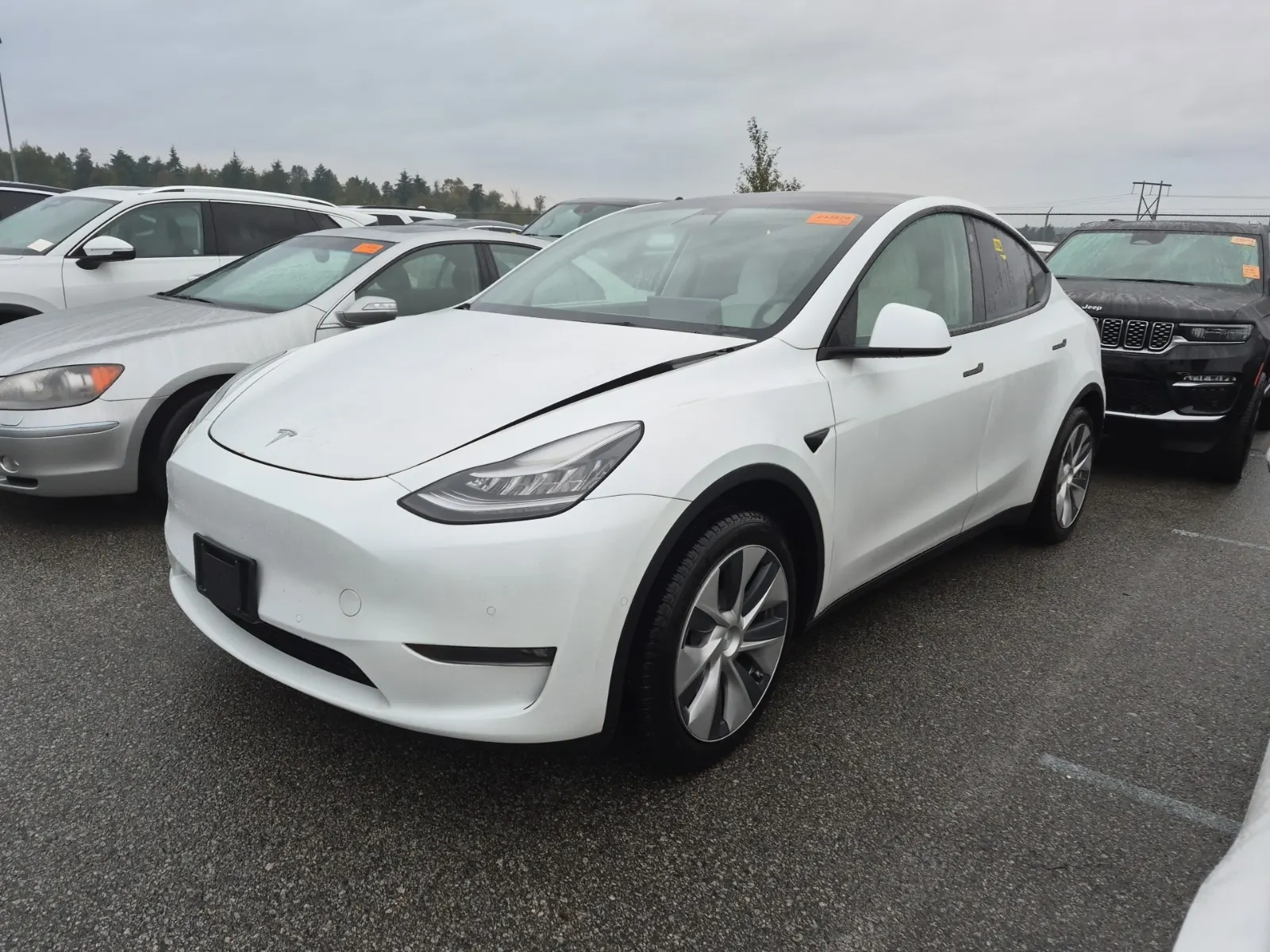 2021 Tesla Model Y