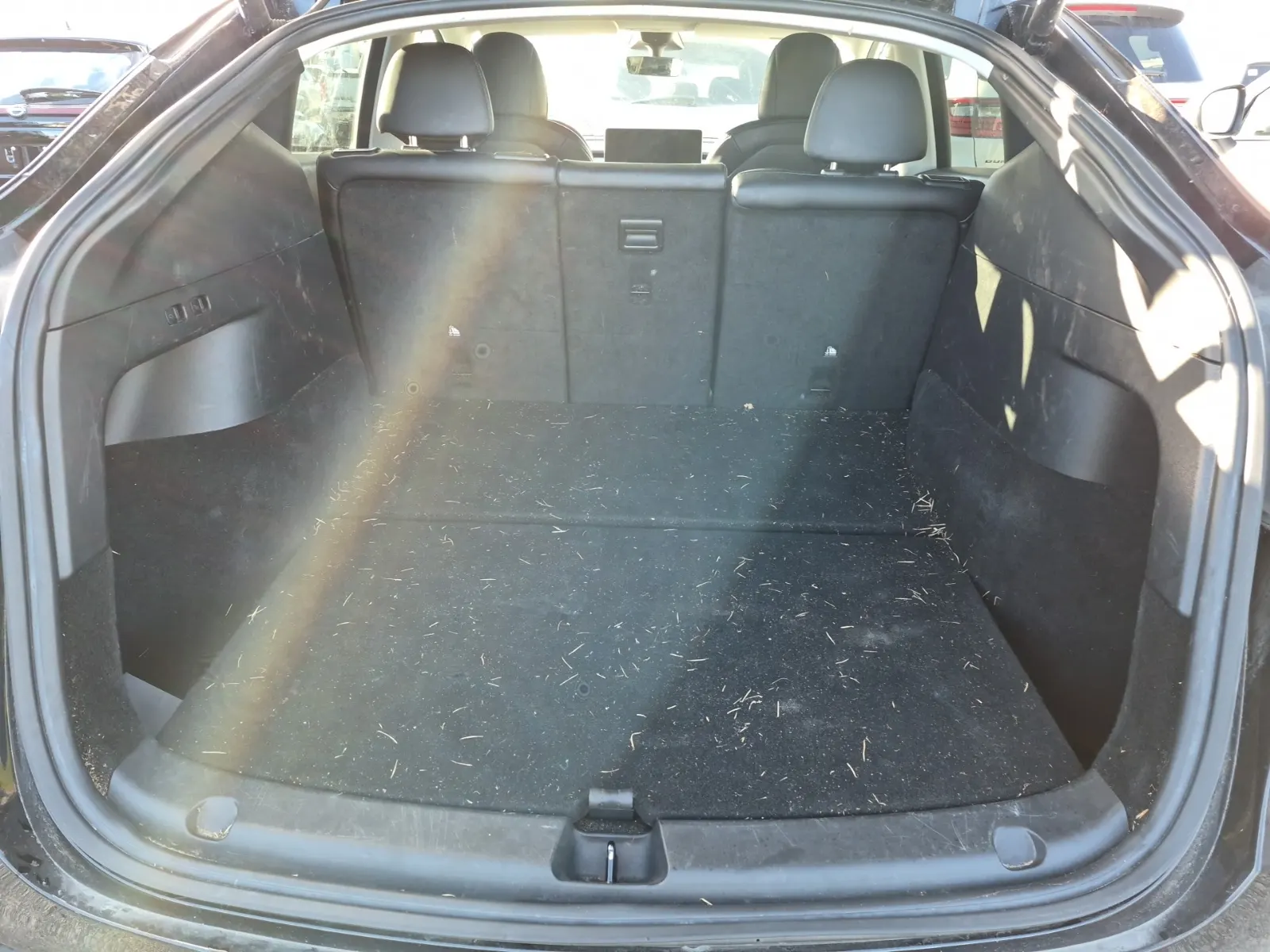 Cargo Area Photo