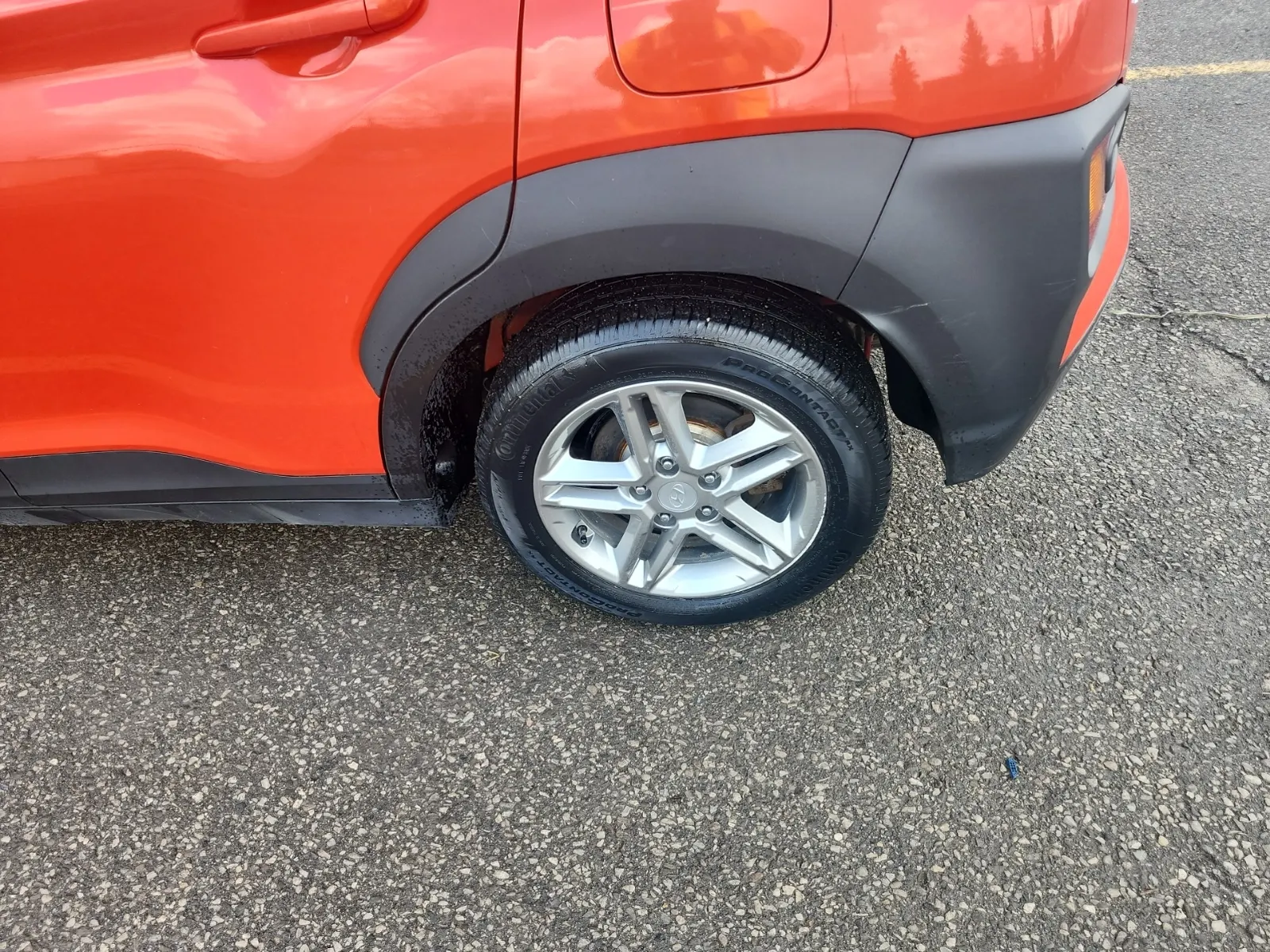 Left Rear Wheel/Tire Photo