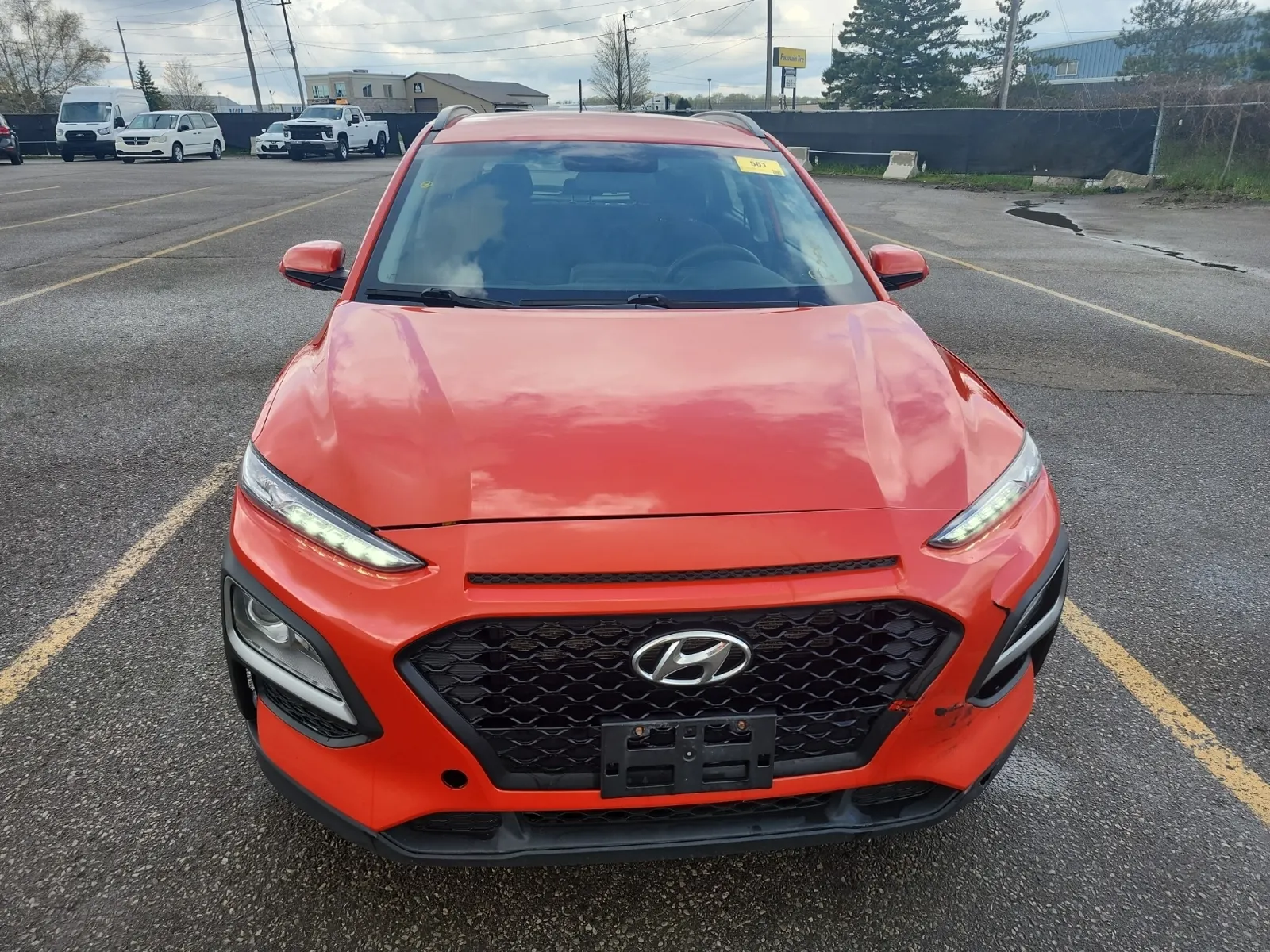 Full Front Photo