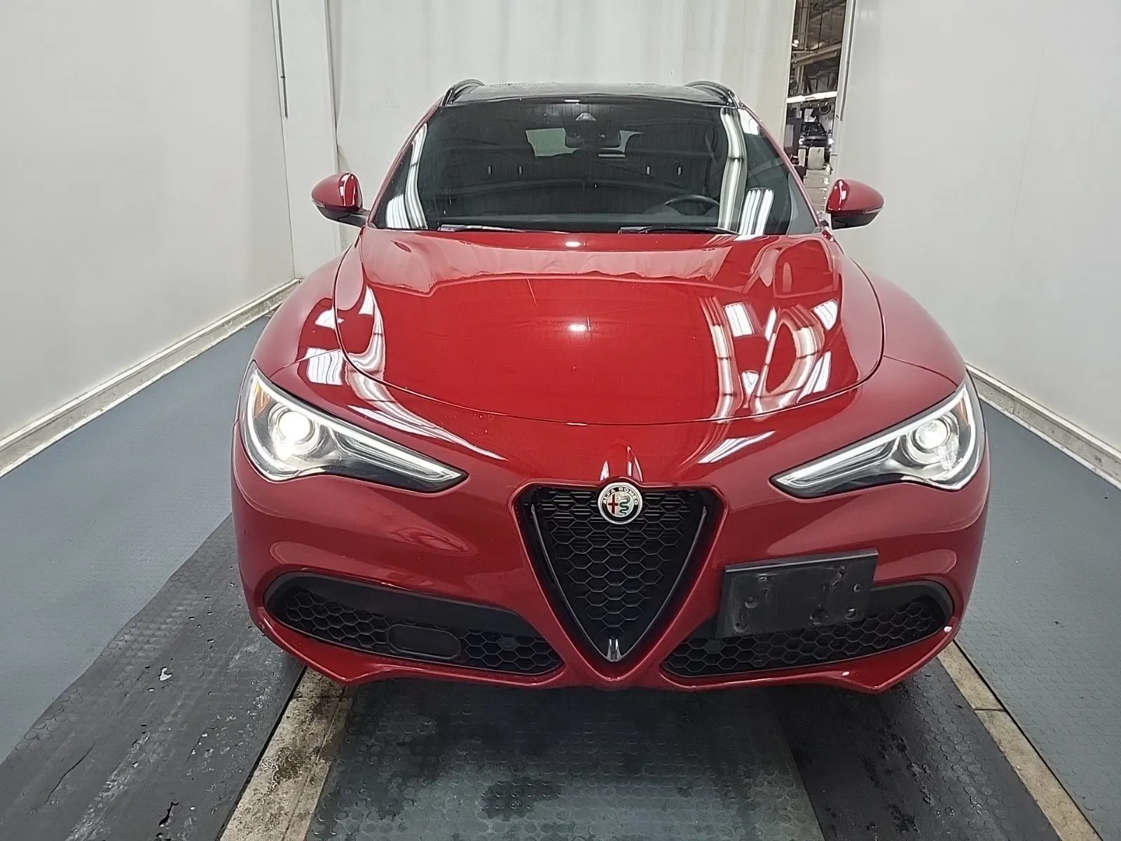 Full Front Photo