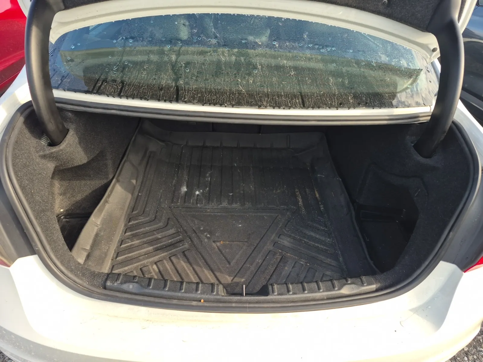 Cargo Area Photo