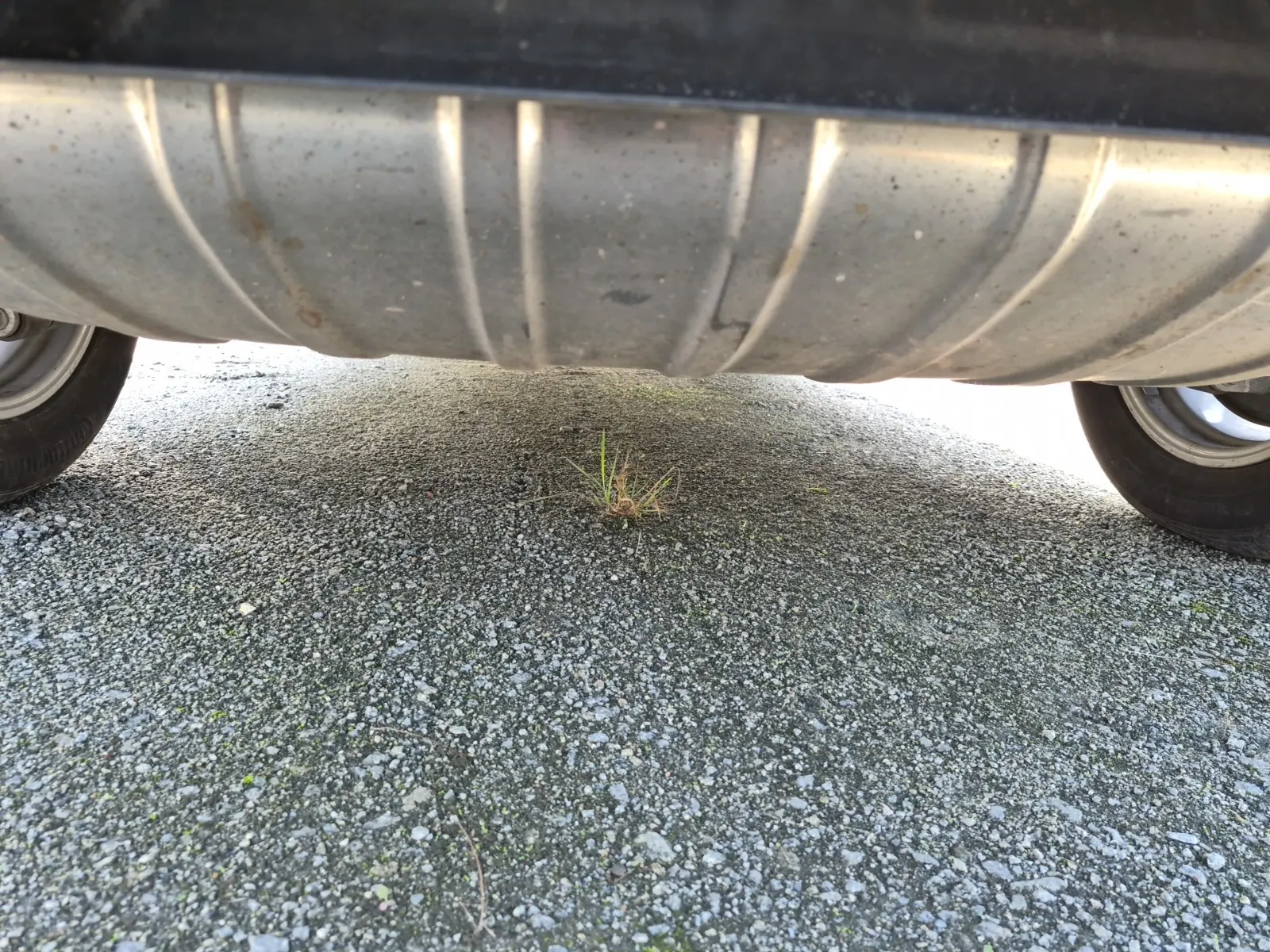 Undercarriage - Rear Photo