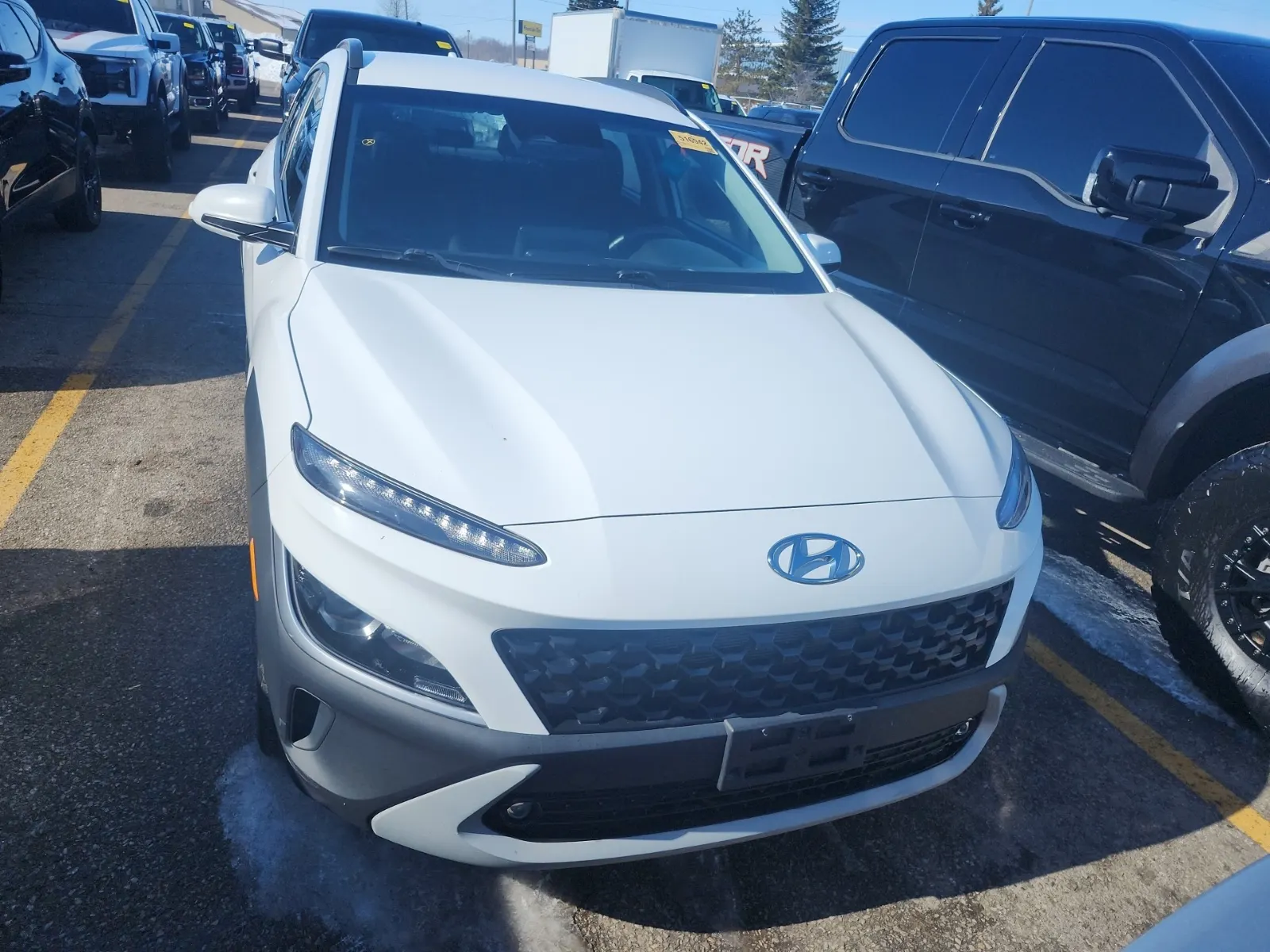 Full Front Photo