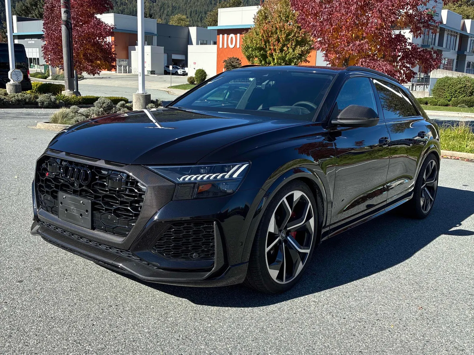 2020 Audi RS Q8