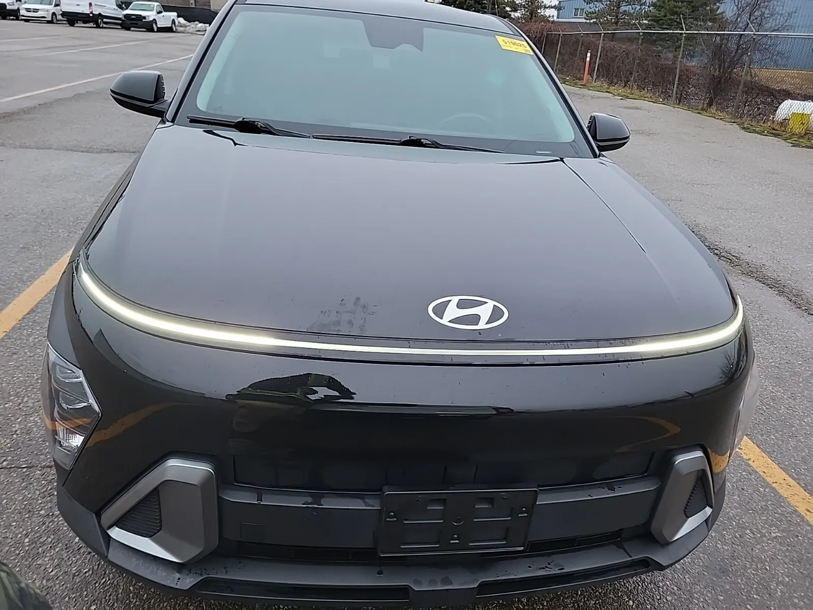 Full Front Photo