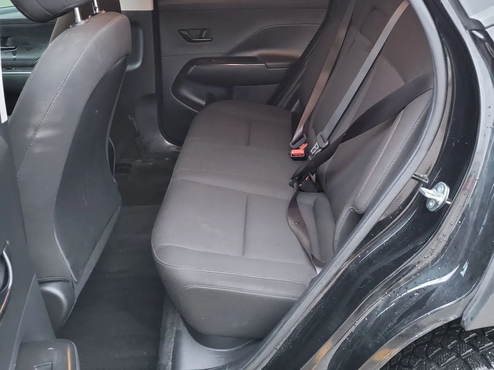 Rear Interior Photo