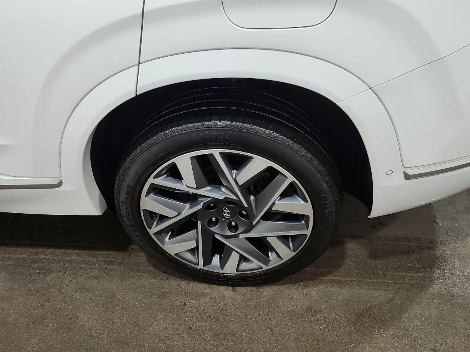 Left Rear Wheel/Tire Photo