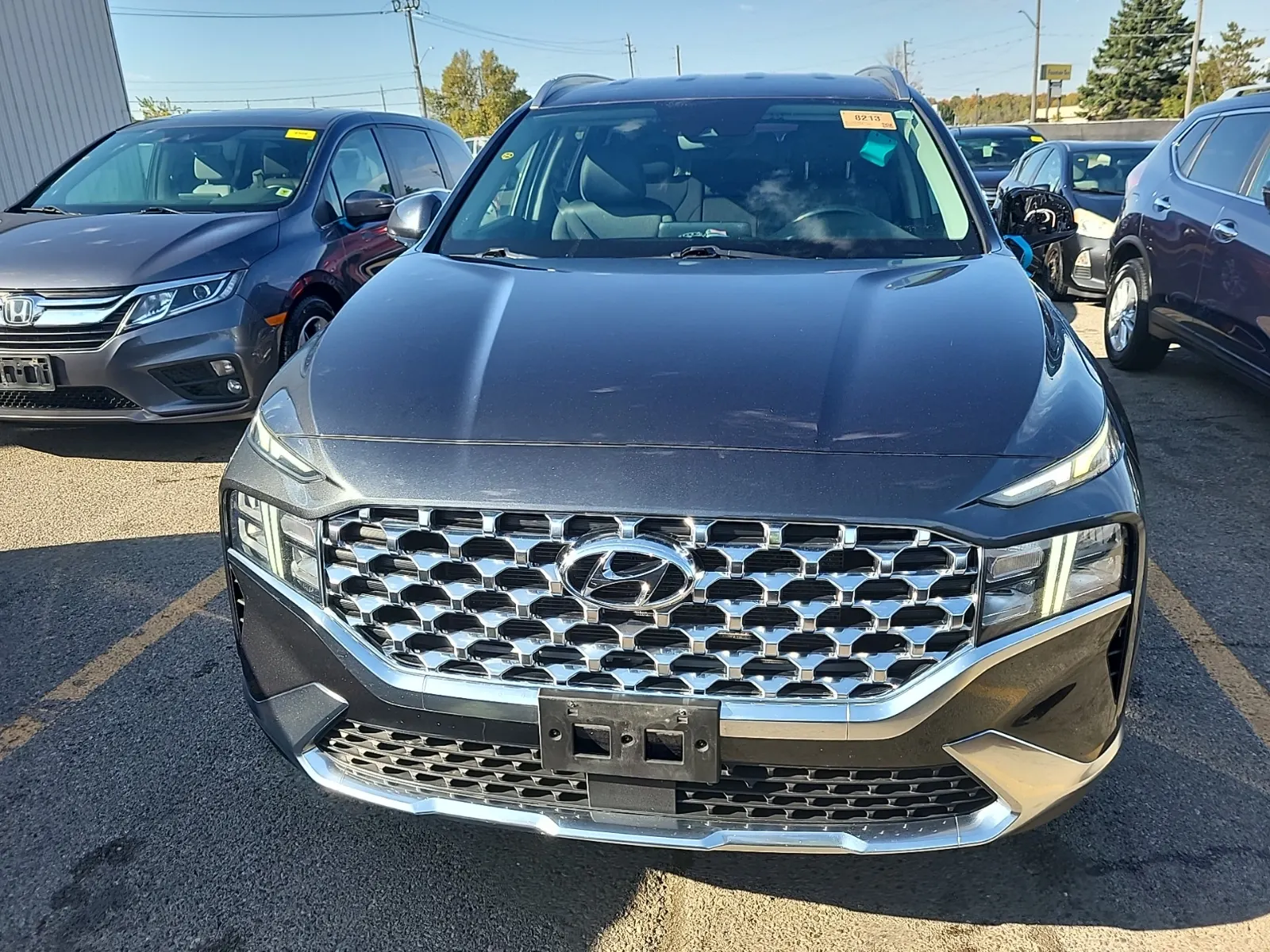 Full Front Photo