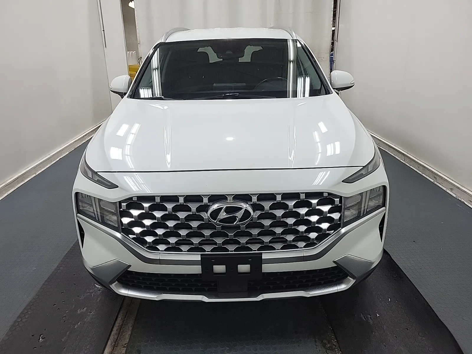 Full Front Photo